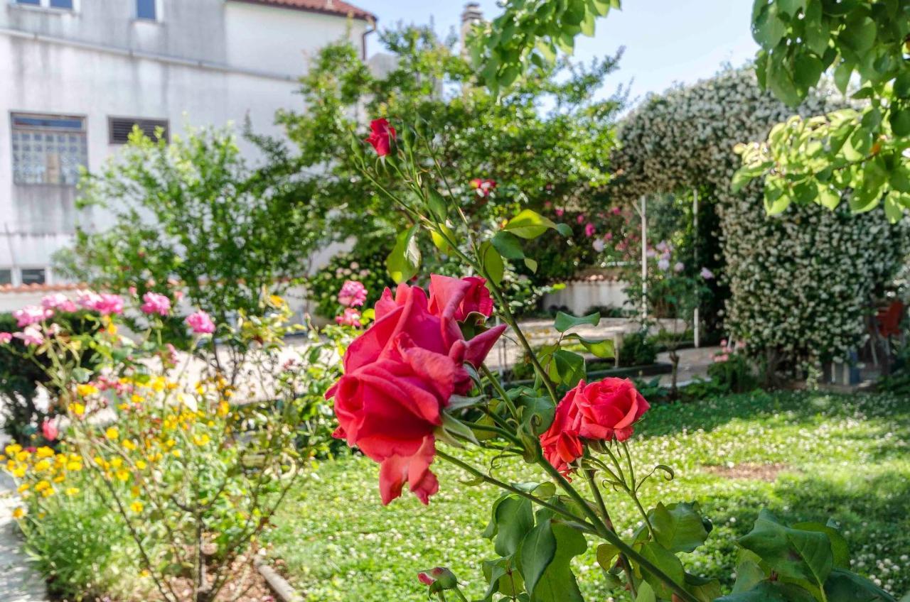 וודיצה Apartments Zanze מראה חיצוני תמונה