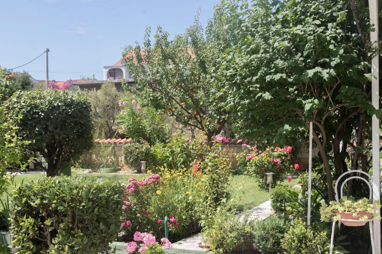 וודיצה Apartments Zanze מראה חיצוני תמונה